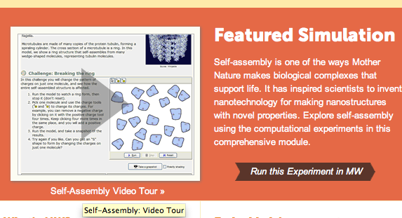Molecular Workbench